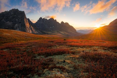 Discover the rugged beauty of Tombstone Territorial Park in Yukon, Canada! 🏞️ Tap the link to see stunning landscapes & mysterious peaks. Don't miss out! #ExploreYukon #NatureLovers Yukon Territory Canada, Yukon Canada, Yukon Territory, Nature Wallpapers, Stunning Landscapes, Tombstone, Nature Wallpaper, Tap, Wallpapers