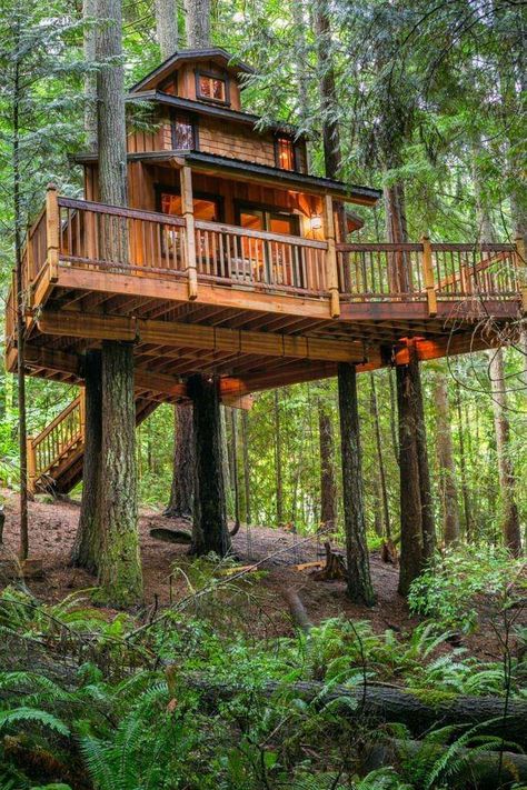 Luxury Tree Houses, Beautiful Tree Houses, Building A Treehouse, Tree House Plans, Tree House Diy, Cool Tree Houses, Tree House Designs, Diy Tree, Cottage Life