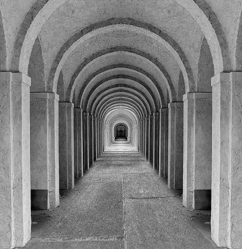 Symmetric Balance, Symmetrical Photography, Balance In Photography, Symmetry Photography, Radial Balance, Asymmetrical Balance, Symmetrical Balance, Symmetry Design, Birds In The Sky