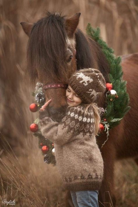 Biscuits Recipes, Bakugou And Uraraka, Pictures With Horses, Winter Horse, Mini Pony, Family Christmas Pictures, Christmas Horses, Pony Horse, Mini Horse