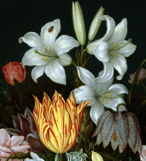 Ambrosius Bosschaert the Elder (1573 – 1621) A Still Life of Flowers Ambrosius Bosschaert, Dutch Still Life, Art Alevel, Still Life Art, Still Life Painting, Botanical Art, Flower Drawing, Cover Art, Floral Art