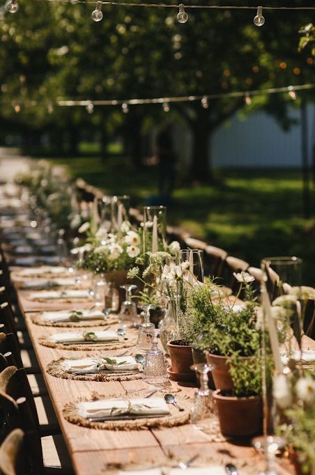 Herb garden parties, garden table setting, gathering with friends Herb Wedding Centerpieces, Family Style Weddings, Rustic Italian Wedding, Herb Wedding, Rustic Table Runner, Rustic Table Runners, Grand Marais, Farm Photography, Rustic Wedding Table