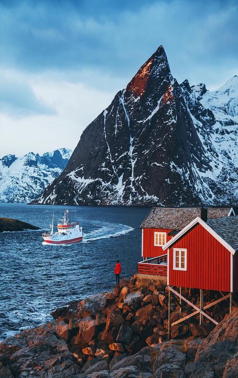 Lofoten,Norway Lofoten Islands Norway, Lofoten Islands, Norway Travel, Wallpaper Pastel, Red House, World Photo, Palawan, Oh The Places Youll Go, Nature Travel