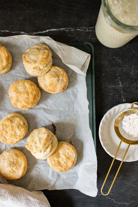 Sourdough Freezer Biscuits - sarahtherese.co Freezer Biscuits, Sourdough Biscuits, Biscuits From Scratch, Flaky Biscuits, Gf Bread, Wake And Bake, Sourdough Discard, Sourdough Recipes, Need A Break