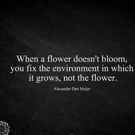 Adventure Implementation Quotes, Work Environment Quotes, Social Worker Quotes, Social Work Quotes, Student Bookmarks, Environment Quotes, Systems Theory, Flower Quotes, Social Worker