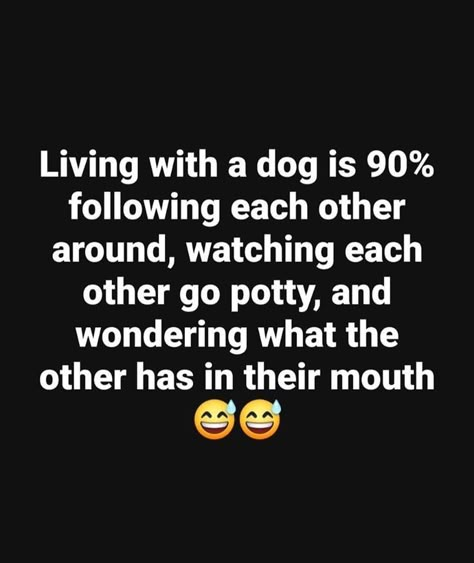 Dog Humor Hilarious, Funny Dog Sayings, Buddy System, Pet Humor, Pet Quotes, Dog Humor, Animal Quotes, Sarcastic Quotes, Dog Quotes