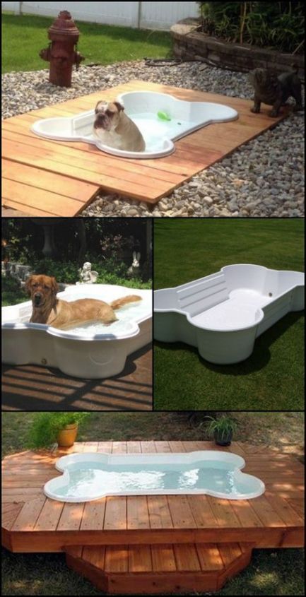 24+ Great Dog-Friendly Backyard Landscaping Ideas & Designs For 2022 Dog Friendly Backyard, Dog Backyard, Dog Spaces, Dog Pool, Dog Area, Real Estat, Dog Rooms, Dog Runs, Bathtubs