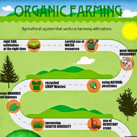 Organic Farming Poster, Farming Ideas, Farming Guide, Types Of Farming, Thermal Power Plant, Natural Pesticides, Organic Recipes Healthy, Farming Techniques, Crop Rotation