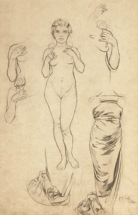 Alphonse Mucha Art, Mucha Art, Arte Van Gogh, Human Anatomy Art, Figure Sketching, Anatomy Drawing, Alphonse Mucha, Anatomy Art, Art Poses