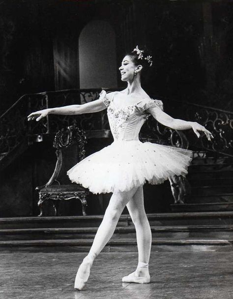 Margot Fonteyn Houston Ballet, Svetlana Zakharova, Ballet Images, Margot Fonteyn, You Are My Moon, Ballet Russe, Ballet Pictures, The Sleeping Beauty, Vintage Ballet