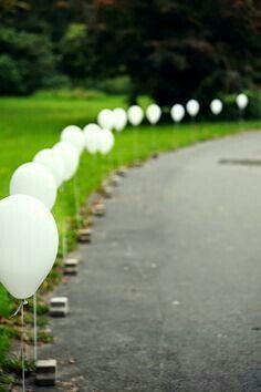 Entrance Walkway, Walkway Decor, Wedding Catering Ideas, Outdoor Party Ideas, Wedding Isles, Wedding Entrance, Reception Party, Marriage Ceremony, Wedding Catering