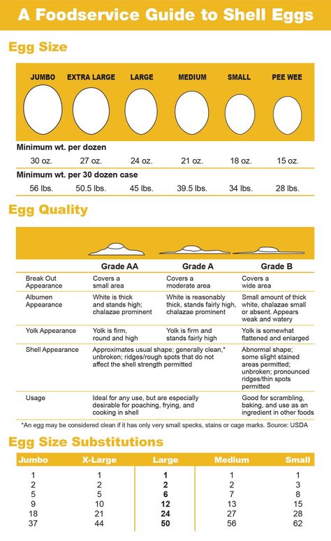 Shell Egg Sizes & Grades - American Egg Board Homestead Hacks, Egg Facts, Egg Nutrition Facts, Hatching Chickens, Egg Nutrition, Microwave Eggs, Egg Packaging, School Nutrition, Aloe Vera Benefits