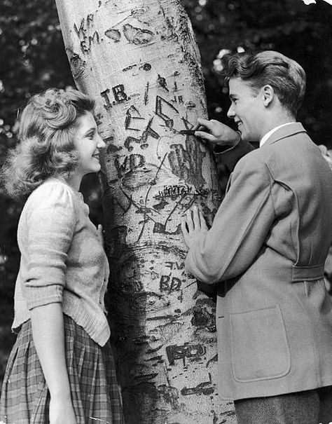 Kitty Kallen, Lilli Palmer, New York City Central Park, Hollywood Beauty, Animal Activist, Doris Day, Tree Carving, Smiling Man, Actrices Hollywood