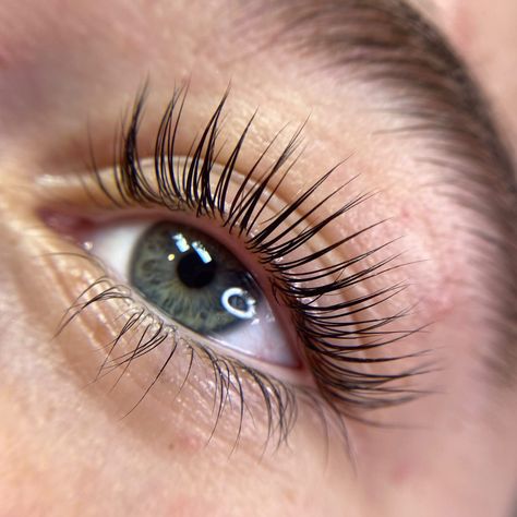 Thick, luscious and glossy lashes brought to you by:   ✨ Elleeplex Profusion  ✨ Hyaluronic Boost Serum  & @vavvyartistry 🧡  Learn more about Elleeplex Profusion here: https://elleebana.com/your-guide-to-elleeplex-profusion/ Lvl Lash Lift, Eye Lash Photography, Lvl Lashes, Eyelash Lift And Tint, Eyelash Lift, Beauty Places, Brow Lash, Natural Brows, Fitness Inspiration Body