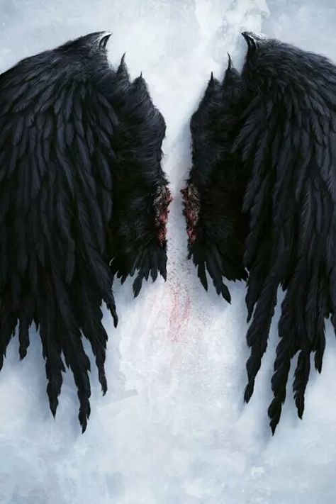 life teaches, love reveals. Demon Aesthetic, Creature Fantasy, Wings Wallpaper, Black Angel Wings, Ange Demon, Lucifer Morningstar, Odaiba, Black Angels, Black Wings