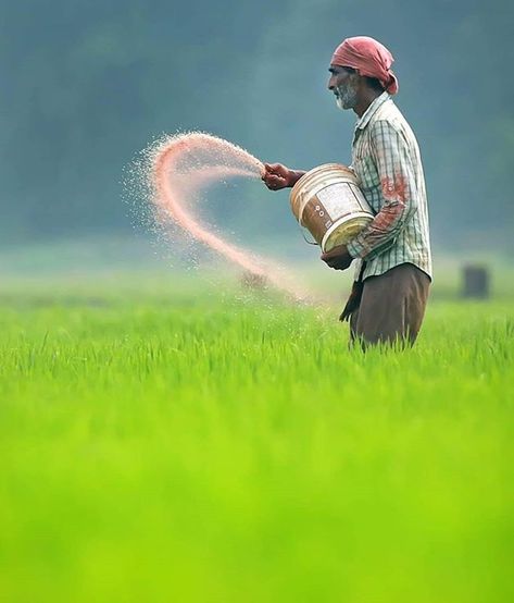 A day in the life of a farmer. Agriculture Pictures, Farmer Painting, Agriculture Photography, Agriculture Photos, Farmers Day, Beautiful Eyes Images, Farm Paintings, Farm Photography, Village Photography