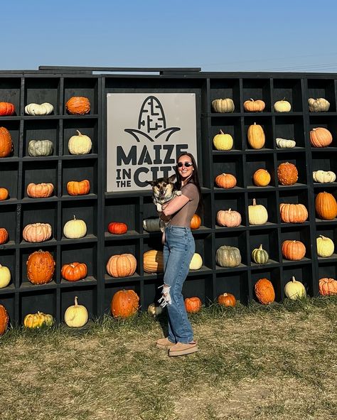 Dog Friendly Pumpkin Patch near Denver 🎃 If you’re looking for something fun to do with your dog in Denver this month take them to Maize in the City! Arbor picked out her pumpkins, ate a mini donut, and got lots of pets! The pumpkin patch is free to enter and the corn maze is $15. 🎃🧡🍁 #halloween #october #autumn #pumpkinpatch #pumpkinseason October Autumn, Travel Content, Corn Maze, Mini Donuts, Pumpkin Seasoning, Maize, Done With You, Dog Friendly, Arbor