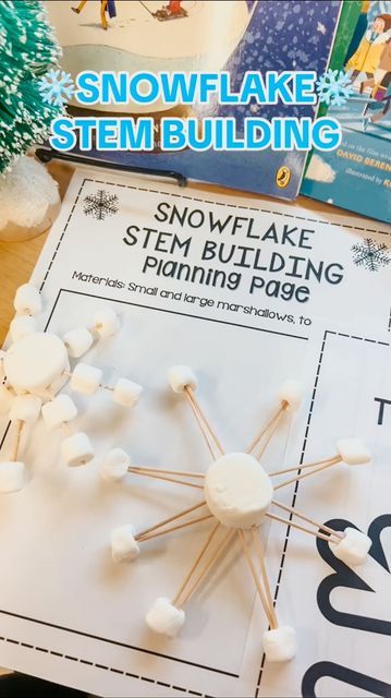 Nicole on Instagram: "❄️ SNOWFLAKE STEM BUILDING ❄️ check out my new resource on TPT for a fun and easy activity you can do if you are still teaching this week! This would even be fun as a back from winter break activity as well!❄️❄️ #teacherlife #teachersbelike #teachervibes #teacherhack #teachertip #teachersofig #teacheroutfit #teachermusthave #teacherstyle #teacherfit #teacherootd #teachersofinstagram #teachersfollowteachers #amazonmusthave #classroomdecor #classroomorganization #classroomtheme #teacherstyle #teacherfit#thirdgradeteacher #weareteachers #teacherspayteachers #teachersfollowteachers #teacherhack #tiktokteacher #weareteachers #teacherinspiration #teacherstuff" Stem Holiday Activities, Winter Steam Activities Elementary, Stem Christmas Activities, Winter Stem Activities Elementary, Stem Club Activities, Snowflake Stem, Steam Activities Elementary, Holiday Stem Activities, January Lesson Plans