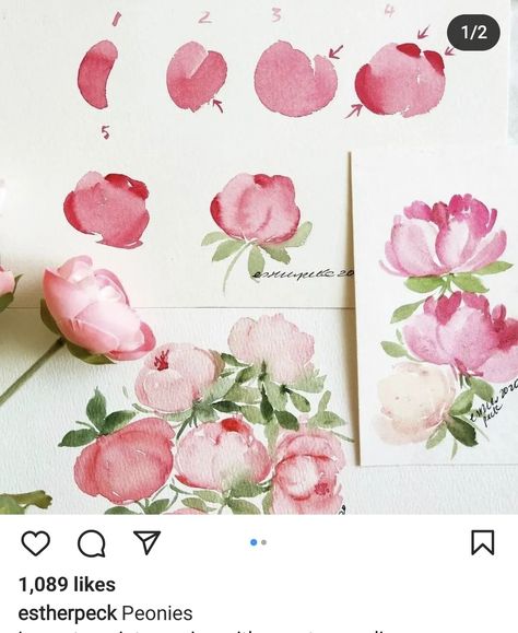 Paint Peonies, Filbert Brush, Peony Buds, Peony Bud, Flower Drawing Tutorials, Watercolor Flowers Tutorial, Watercolor Peonies, Watercolour Inspiration, Diy Watercolor Painting