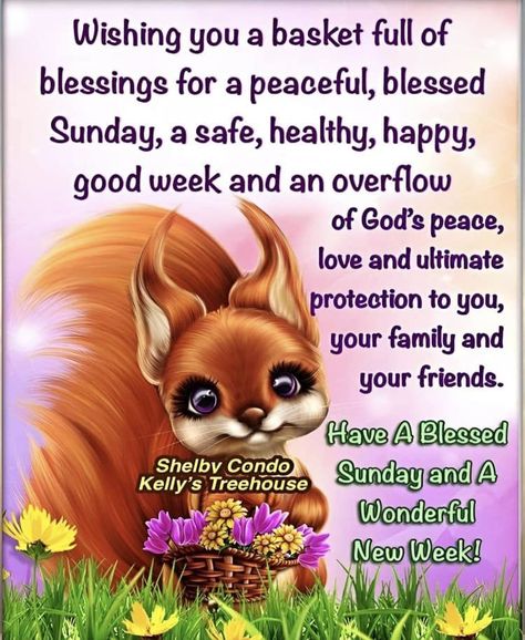 Blessed Sunday Images, Sunday Prayers, New Week Quotes, Sunday Morning Prayer, Blessed Sunday Quotes, Blessed Sunday Morning, A Blessed Sunday, Black Lives Matter Poster, Happy Sunday Images