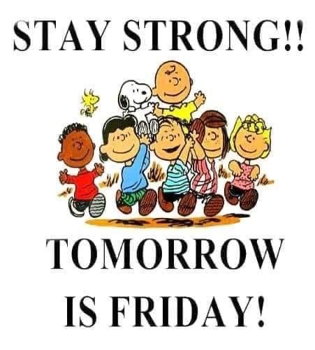 Funny Thursday Images, Charlie Brown Quotes, Thursday Greetings, Tomorrow Is Friday, Good Morning Snoopy, Funny Day Quotes, Thursday Quotes, Snoopy Funny, Weekday Quotes