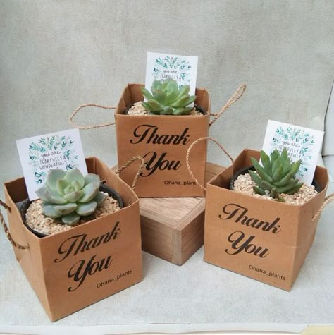 Plant Wedding Favors, Kaktus Dan Sukulen, Succulent Wedding Favors, Flower Gift Ideas, Succulent Gifts, Wedding Gifts For Guests, Wedding Souvenirs, Wedding Favors For Guests, Cactus Y Suculentas