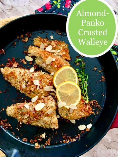 Almond-Panko Crusted Walleye is a healthy, delicious 30 minute meal featuring walleye with a crunchy almond, panko & fresh thyme golden brown crust. Walleye Recipes, Panko Crumbs, Almond Crusted, Fish Food, Roasted Asparagus, Carb Meals, Healthy Delicious, 30 Minute Meals, Fresh Thyme