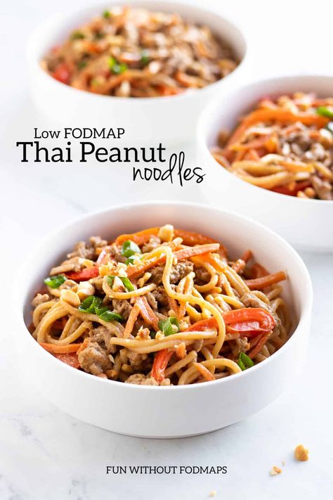 Low Fodmap Vegetables, Thai Peanut Noodles, Fodmap Recipes Dinner, Low Fodmap Recipes Dinner, Fodmap Meal Plan, Fodmap Friendly Recipes, Low Fodmap Diet Recipes, Fodmap Diet Recipes, Ibs Recipes