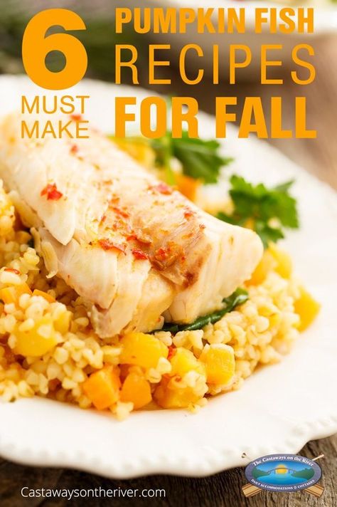 6 Must Make Pumpkin & Fish Recipes for Fall l #fishyeats #fallrecipes2018 Fall Fish Recipes, Pumpkin Fish, Fish Entrees, Florida Fishing, Recipes For Fall, Fall Fishing, How To Cook Fish, Main Courses, St Johns