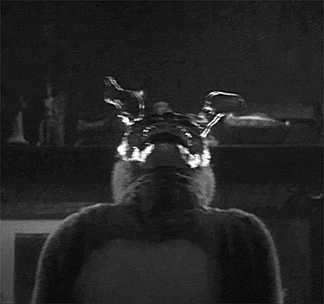 Creepy Rabbit, Creepy Easter, James Duval, Scifi Horror, Ghost Train, Foggy Night, Nightmare Fuel, Horror Aesthetic, Katharine Ross