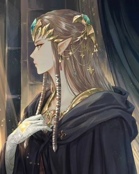 Twilight Princess, Anime Character, Zelda, Princess Zelda, On Twitter, Twitter, Hair, Anime, Black