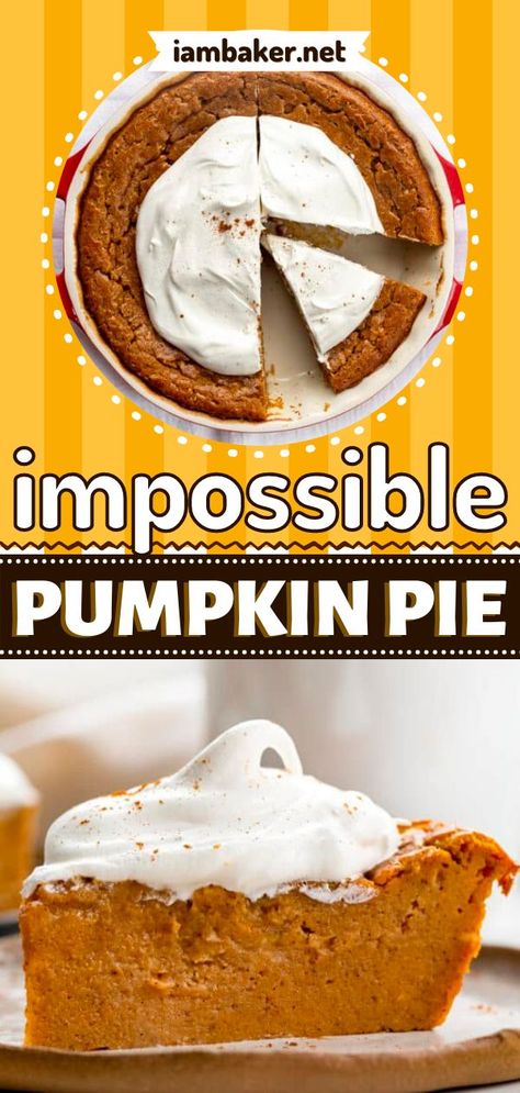 Crustless Pie Recipes, No Crust Pumpkin Pie Recipes, Impossible Pumpkin Pie Recipes, Blender Pumpkin Pie, No Crust Pumpkin Pie, Bisquick Pumpkin Pie, Pumpkin Impossible Pie, Impossible Pumpkin Pie Bisquick, Bisquick Crustless Pumpkin Pie