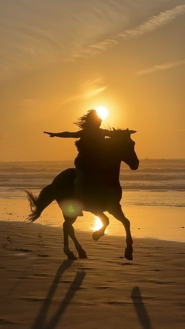 Horse Riding Vacations, Vision Board Aesthetic Pictures Home, Horse Back Riding Asethic, Shifting Aesthetic, Horses Aesthetic, Horse Riding Aesthetic, Best Dad Quotes, Essaouira Morocco, Future Energy