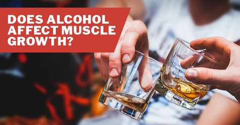 Does Alcohol Affect Muscle Growth? | ISSA Negative Effects Of Alcohol, Alcohol Consumption, Effects Of Alcohol, Drinking Alcohol, Muscle Protein, Building Muscle, Endocrine System, Sleep Cycle, Muscle Tissue