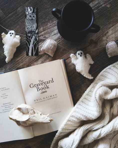 Creepy Book Aesthetic, Halloween Book Photography, The Graveyard Book Aesthetic, Spooky Book Aesthetic, Halloween Book Aesthetic, Neil Gaiman Aesthetic, Fall Tbr, Neil Gaiman Books, Graveyard Book