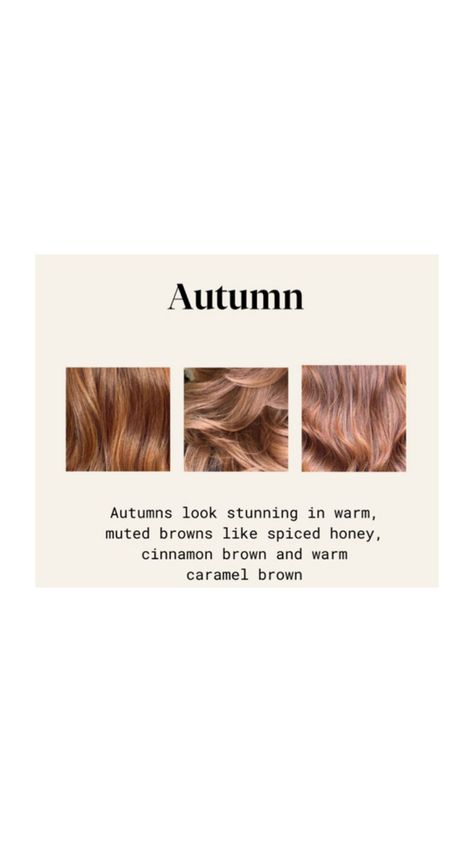 Autumn light brown hair color Autumn Hair Color, Warm Hair Color, Soft Autumn Color Palette, Autumn Hair, You're So Pretty, Deep Autumn, Light Brown Color, Skin Color Palette, Seasonal Color Analysis