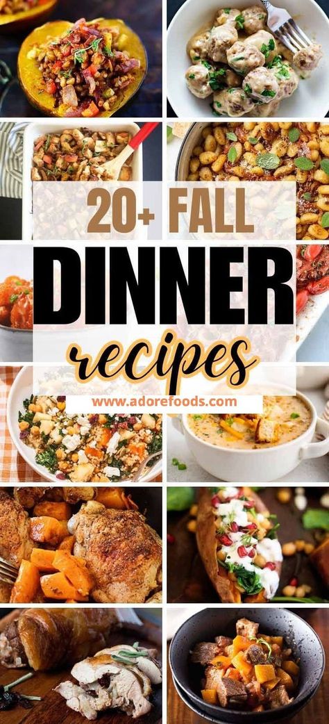 Cozy up your evenings with our delightful fall dinner recipes! From hearty autumn meals to easy one-pot and comforting crockpot wonders, we’ve got everything you need for a satisfying feast! Dive into rustic harvest ideas and create warm, mouthwatering dinners that will make every moment special. Whether it’s a weeknight dinner or a Thanksgiving spread, these fall comfort food recipes will bring joy to your table and smiles to your loved ones! Apple Dressing, Chicken Bakes, Easy Fall Dinner Recipes, Recipes Autumn, Dinner Kids, Healthy Fall Dinner, Fall Dinner Ideas, Dinner Fall, Easy Fall Dinners