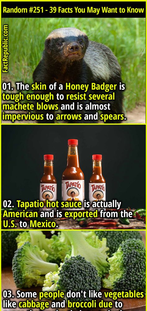 39 Serious Random Facts You May Want to Know | Random List #251 - Fact Republic Random Science Facts, Weird Fun Facts, Science Food, Animation Classes, Fact Republic, School Social Worker, Trivia Facts, Honey Badger, Spelling Bee