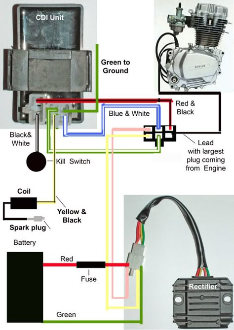 Engine wiring help - DIY Go Kart Forum Go Kart Engines, Motorcycle Wiring, Basic Electrical Wiring, Car Ecu, Motorcycle Workshop, Diy Go Kart, Motor Mobil, 150cc Scooter, Electrical Circuit Diagram