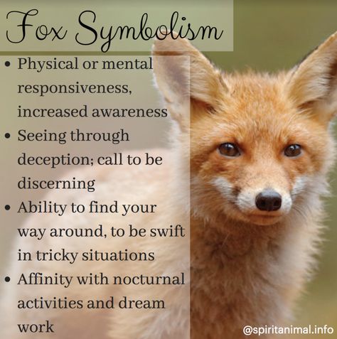 Fox Spirit Animal Spirit Animal Fox, Fox Symbolism, Fox Spirit Animal, Animal Totem Spirit Guides, Interesting Animal, Spirit Animal Meaning, Fox Totem, Totem Animals, Animal Meanings