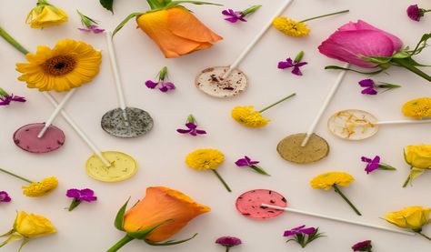 A new line of floral-infused lollipops includes biodegradable sticks with seeds that can be planted. Organic Candy, Grow Flowers, Cinnamon Oil, Lollipop Sticks, Party Bundles, Food Photography Styling, Organic Seeds, Heirloom Seeds, Growing Herbs