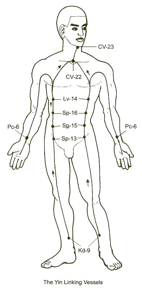 [Scientific Qi Exploration 气的科学探讨] The Extraordinary Meridians or Vessels (Part 3) Marty Eisen Ph.D. 14. The Yin Heel (Qiao) Vessels (Mai) Qiao can be translated as “heel” or “to stand on toes.... Medical Qigong, Yin Energy, Tai Chi Qigong, Massage Therapy Techniques, Chi Kung, Tai Chi Chuan, Reflexology Massage, Parts Of The Body, Acupuncture Points