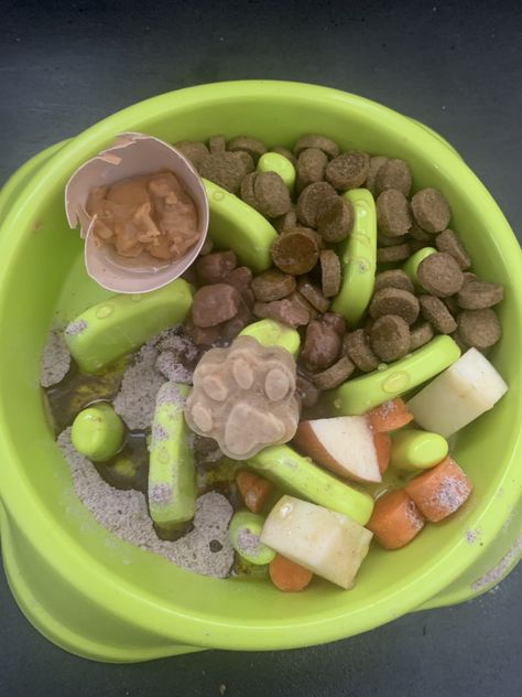 Pitbull Food, Raw Dog Food Diet, Pet Treats Recipes, Diy Dog Kennel, Puppy Mom, Dog Mommy, Dog Enrichment, Dog Water Bowls, Raw Dog Food Recipes