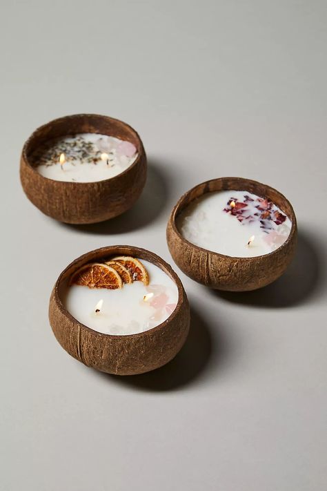 Coconut Bowls Botanical Candle Diy Coconut Candle, Candles Aesthetic Cozy, Coconut Candles, Bowl Candles, Botanical Candle, Candle Bowl, 2023 Accessories, Diy Coconut, Coconut Bowls