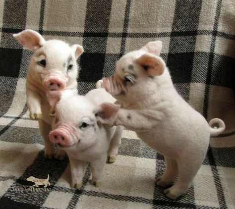 Piggy piggy Felted Sculpture, Piggy Tails, Cute Piglets, Cute Piggies, Pet Pigs, Baby Animals Pictures, Baby Pigs, So Real