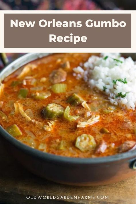 This Mardi Gras, make sure to whip up a batch of this New Orleans favorite! This Gumbo is an amazing stew traditionally made with chicken and sausage in a delicious creole or cajun seasoned broth. Give it a try tonight! New Orleans Gumbo, Gumbo Recipe Easy, Okra Gumbo, Chicken Sausage Gumbo, Cajun Gumbo, Squirrel Food, Gumbo Soup, Chicken Gumbo, Sausage Gumbo