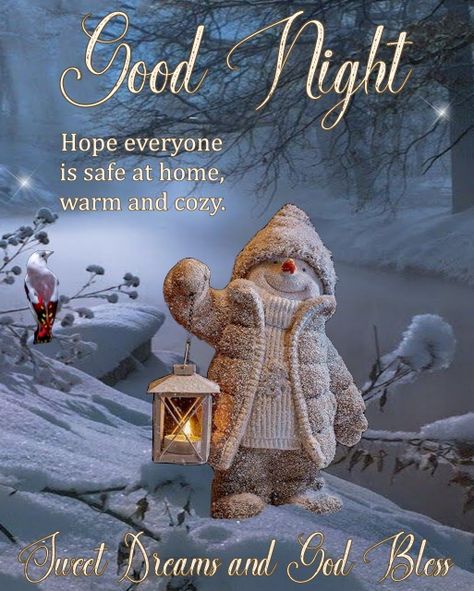 Good Night ..God Bless, God Bless, Good Evening, Scripture Quotes, Country Girls, Good Night, Warm And Cozy, Christmas