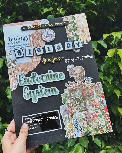 CLASS 10TH BIOLOGY COVERPAGE✨ TOPIC- ENDOCRINE SYSTEM DM FOR ORDERS 🌷 [Custom school projects, Affordable student projects, Decorative project sheets, CBSE project help, Assignment completion services, College project assistance, Holiday homework solutions, Customizable student notebooks, Aesthetic cover pages for assignments, School notebook completion, Student project help online, Custom cover pages for projects] #holidayhomework #cbseprojects #school #schoollife #SchoolProjects #school... Coverpage Aesthetic Ideas, Biology Project Decoration Ideas, Biology Assignment Ideas, Biology Decorations Ideas, Supw Project Cover Page, Biology Aesthetic Cover Page, Biology Cover Page Ideas, Endocrine System Project, Cover Page For Biology Project