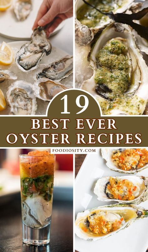 Cooked Oysters, Oyster Stew, Seafood Dish Recipes, Grilled Seafood Recipes, Grilled Oysters, Oyster Recipes, Seafood Recipes Healthy, Grilled Seafood, Roast Chicken Recipes