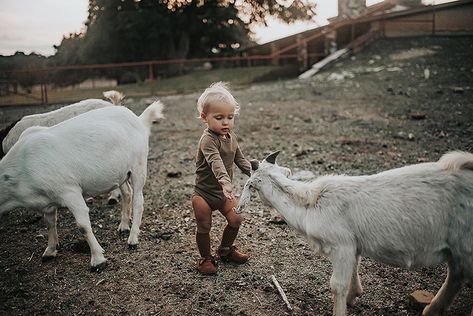 The Simple Folk The Long-Sleeve Onesie - Walnut-Barn Chic Boutique The Simple Folk, Baby Layette, Birthday Shoot, Second Birthday, Knitted Romper, Sleep Sacks, Organic Clothing, Twist Headband, Long Sleeve Onesie